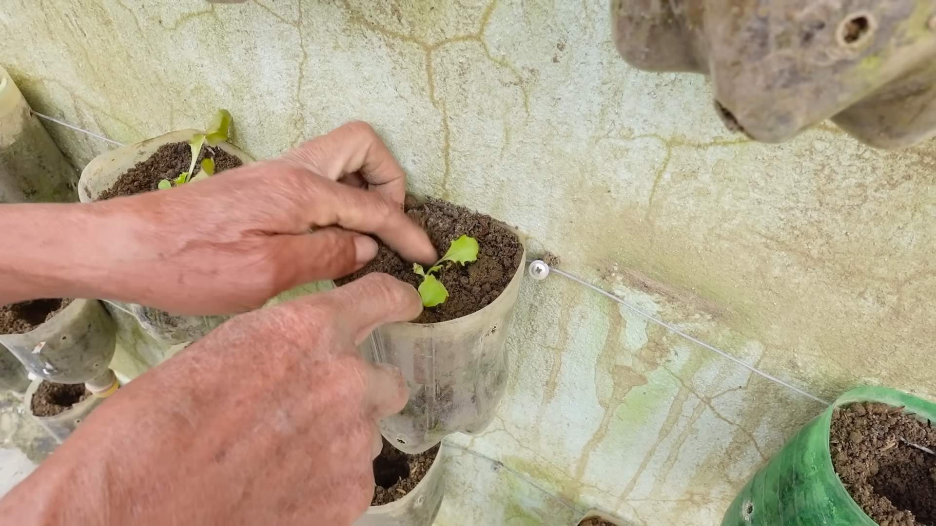Vertical garden DIY