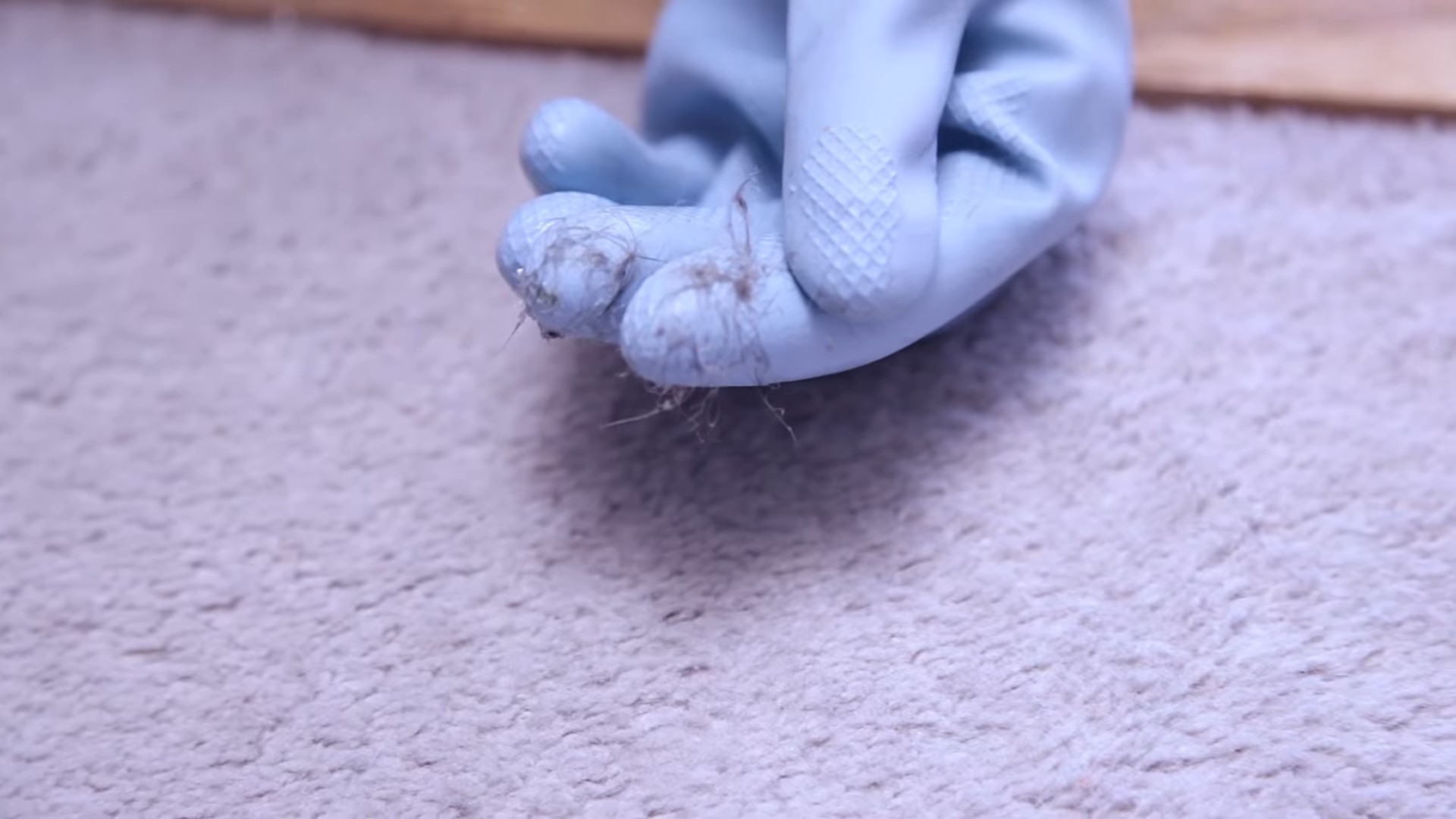 DIY Pet Hair Removal