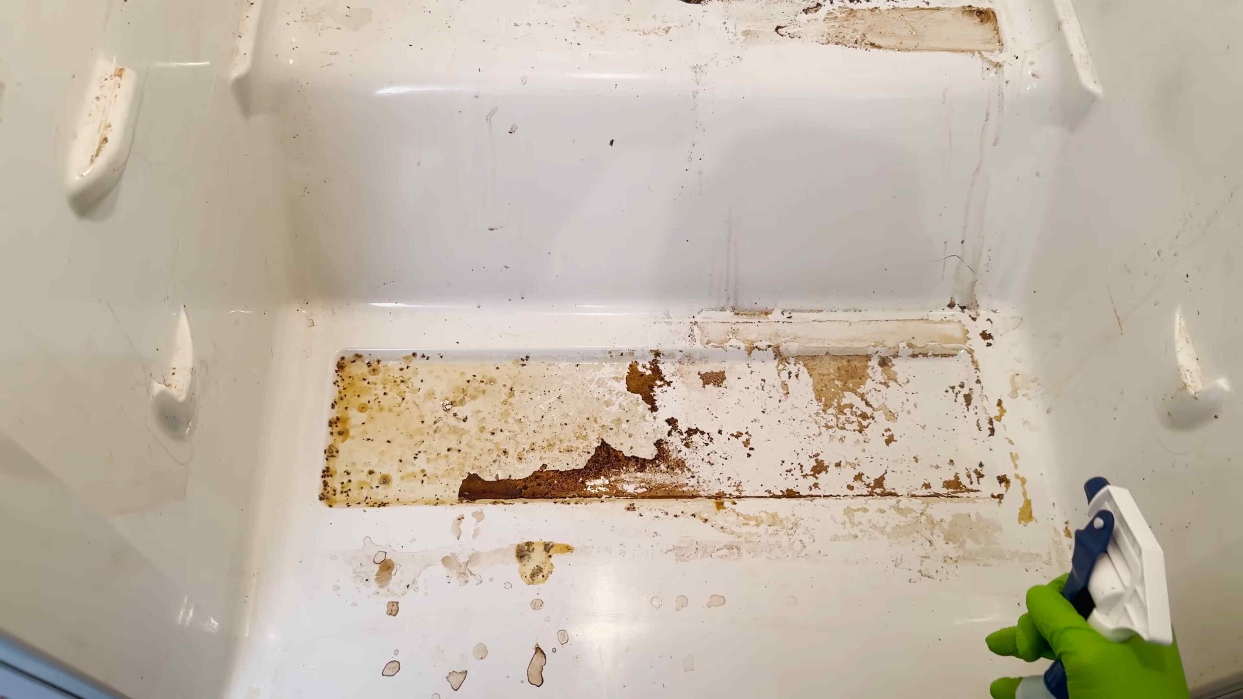 Deep Clean Fridge Tips