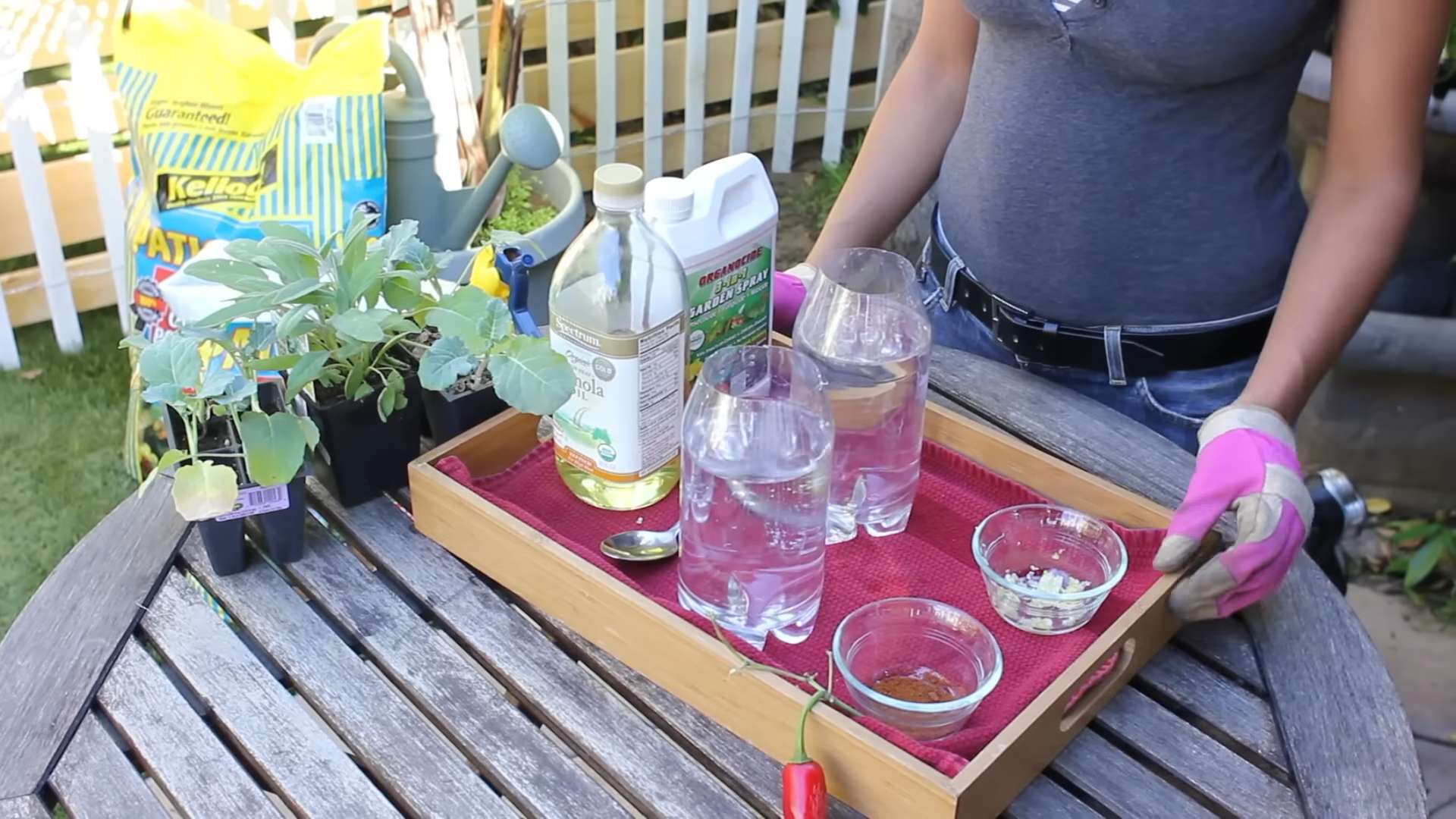 DIY Organic Insecticides
