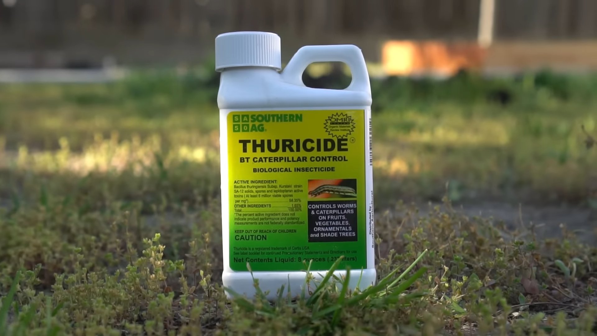 Thuricide caterpillar plant protection