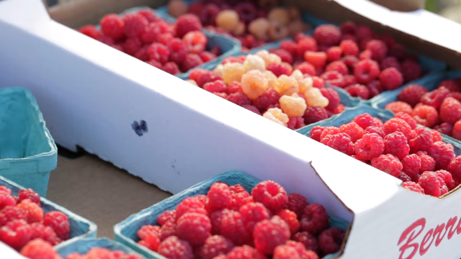 Grow Raspberries at Home